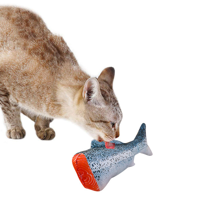 Fish-Shaped Cat Play Toy