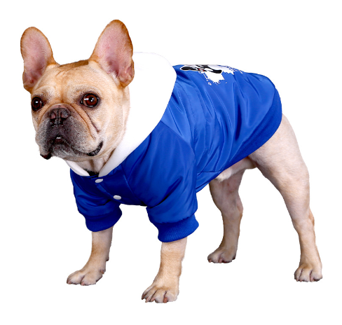 Casual Dog Shirt for Medium & Large Breeds