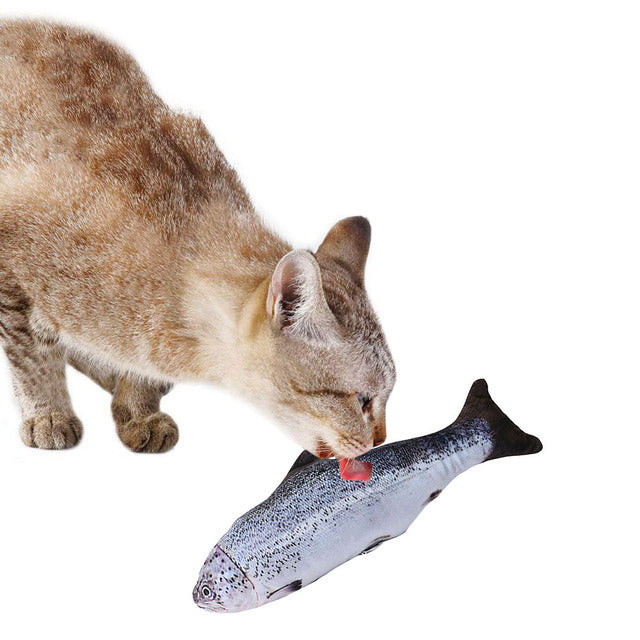 Fish-Shaped Cat Play Toy