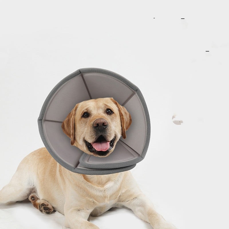 Soft-Fold Pet Safety Collar