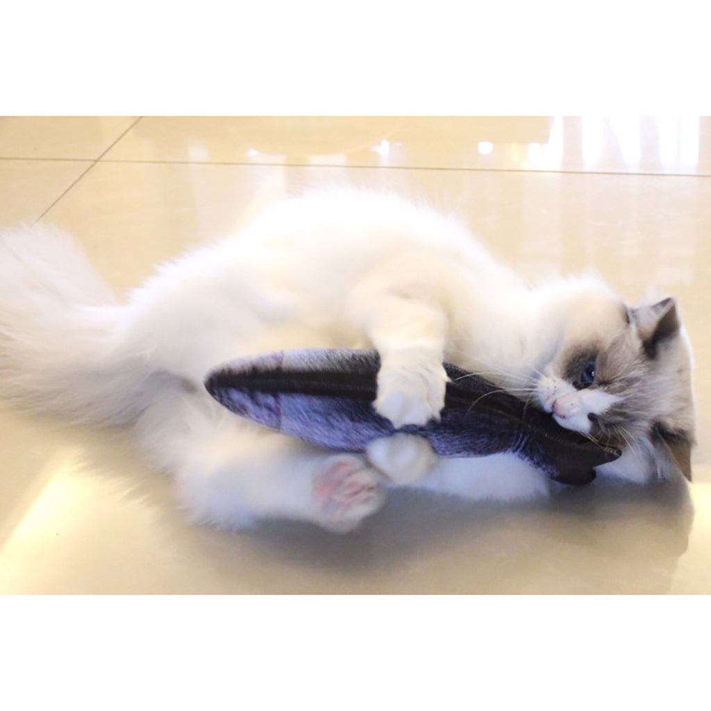 Fish-Shaped Cat Play Toy