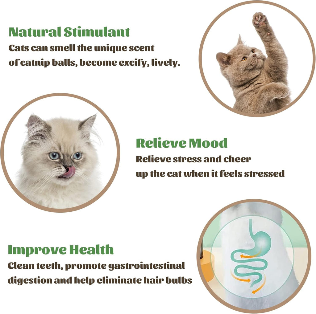 Rotating Catnip Wall Ball Toy