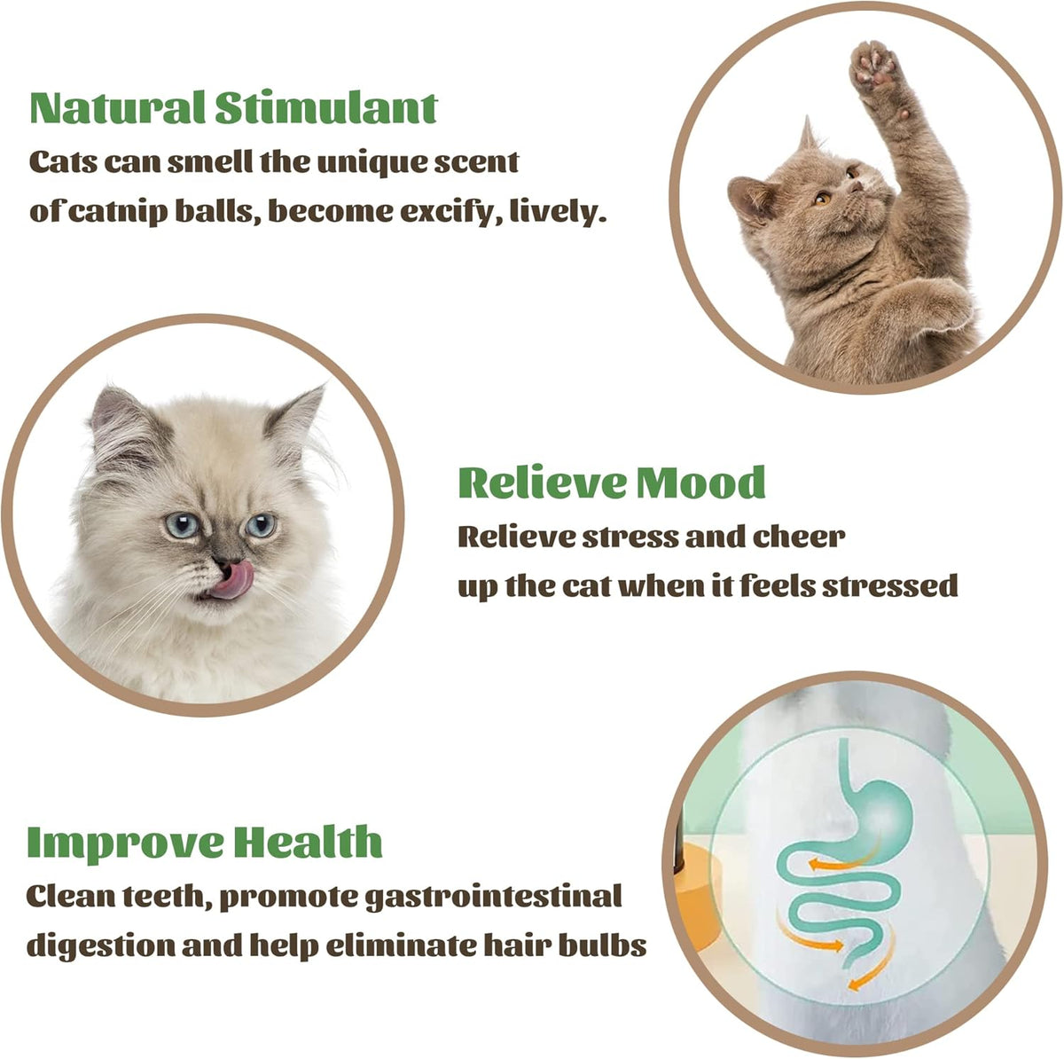 Rotating Catnip Wall Ball Toy