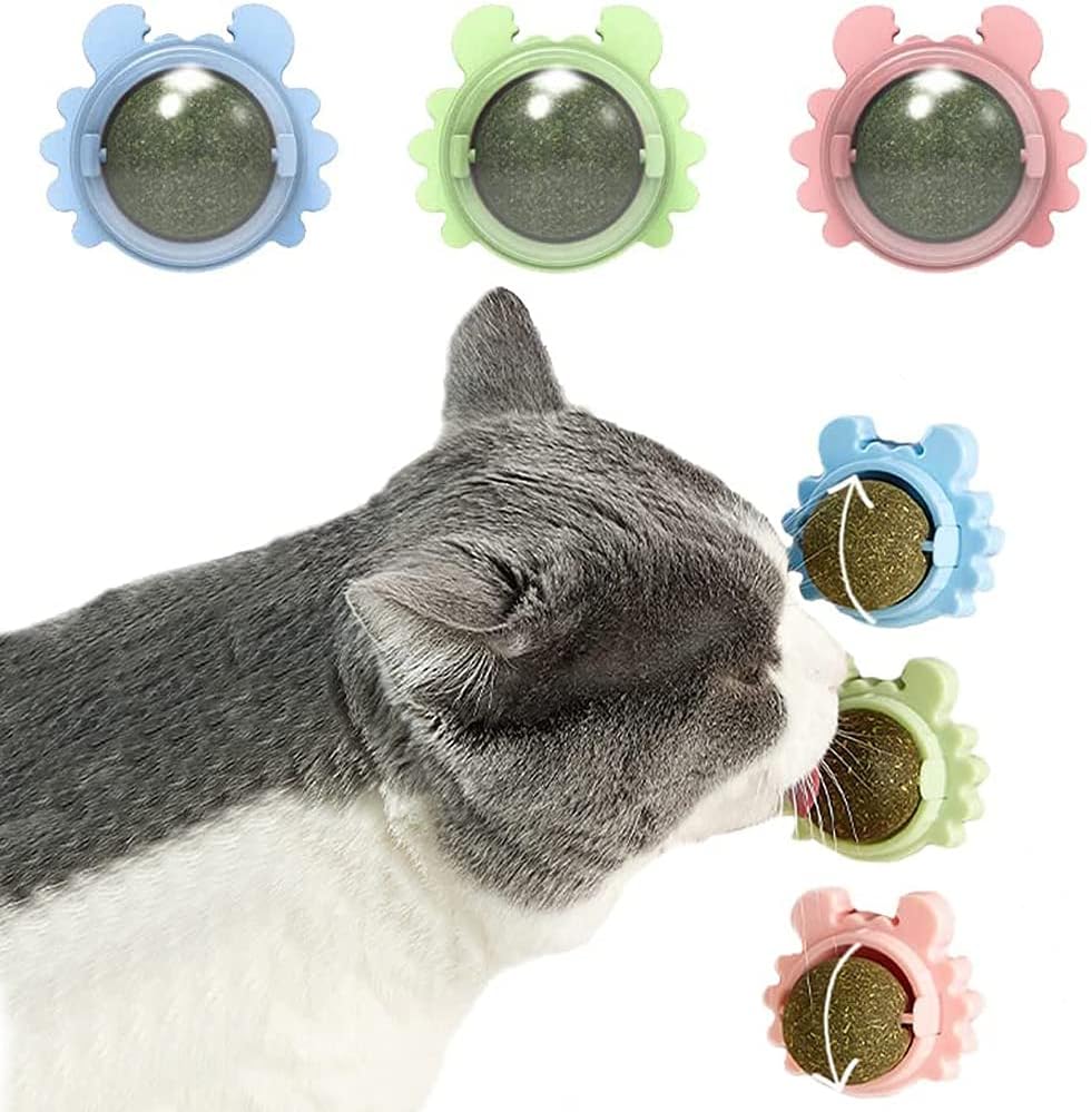 Rotating Catnip Wall Ball Toy