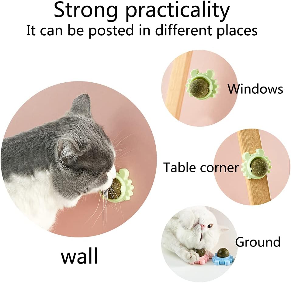 Rotating Catnip Wall Ball Toy