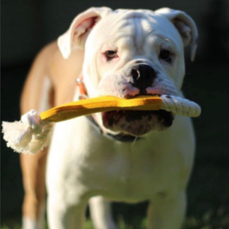 Bone-Shaped Dog Chew & Tug Toy