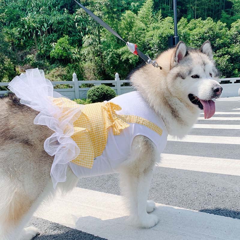 Princess Plaid Dog Costume for Large Dogs
