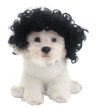 Dog Costume Wig for Pets