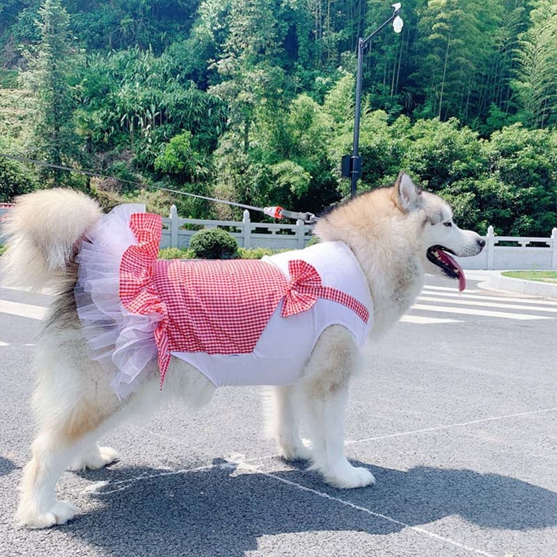 Princess Plaid Dog Costume for Large Dogs