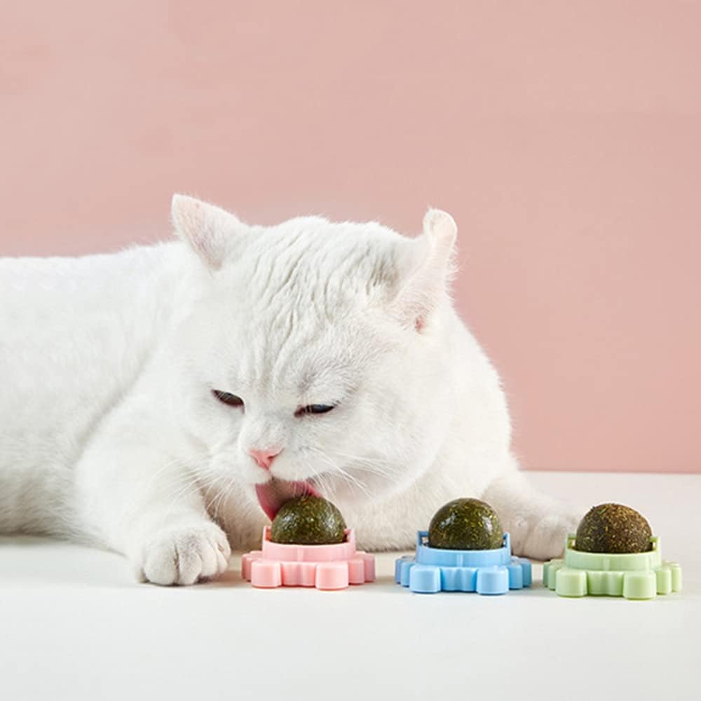 Rotating Catnip Wall Ball Toy
