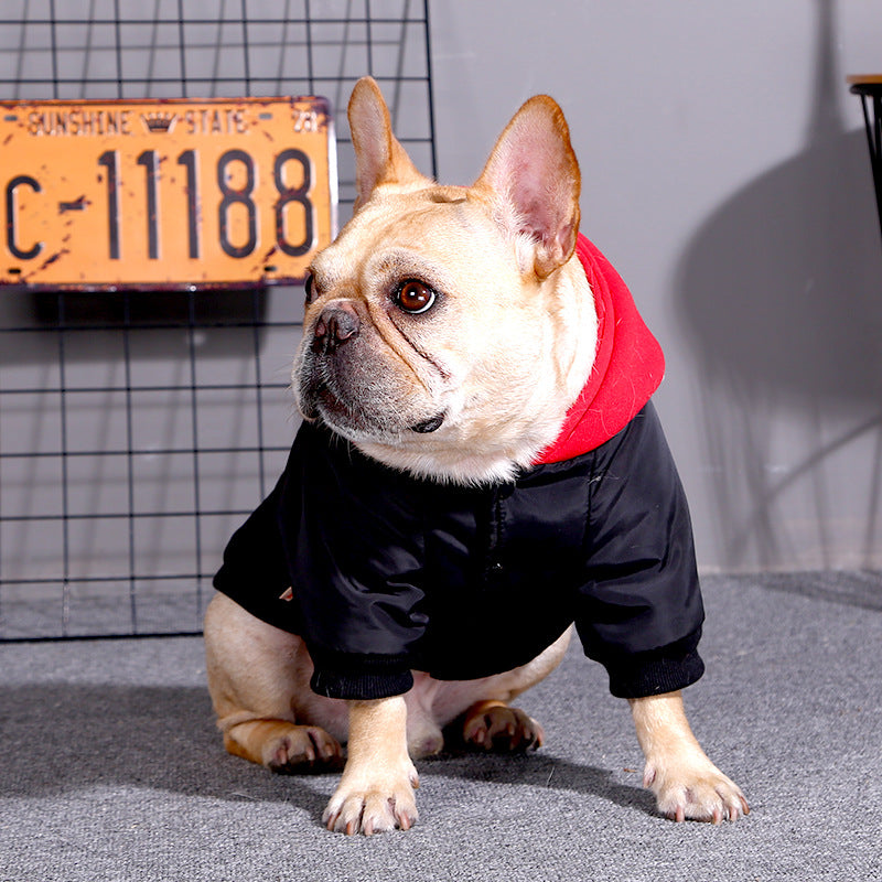 Casual Dog Shirt for Medium & Large Breeds