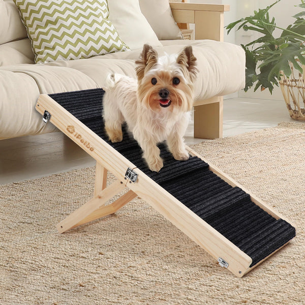 iPetba Dog Ramp for Bed Upgraded 2.0 Version Pet Dog Ramp for Couch Pet Ramps for Small Dogs Indoor Small Dog Ramps Foldable and Portable 4 Adjustable Height Settings 21 Inch (Bed Up to 2 Feet)