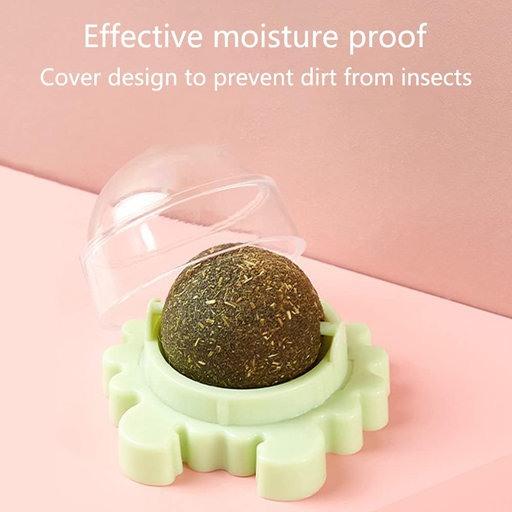 Rotating Catnip Wall Ball Toy