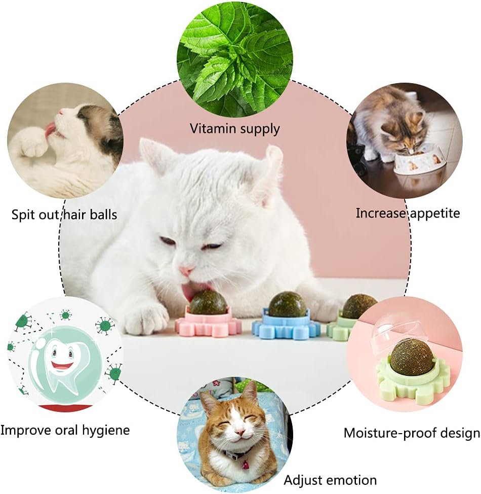 Rotating Catnip Wall Ball Toy