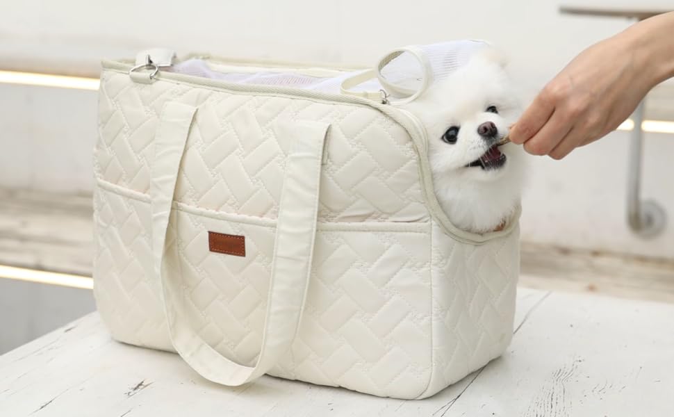 Breathable Pet Carrier Bag for Cats & Small Dogs